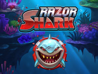 razor shark logo